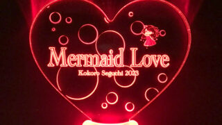 メッセージが光り輝くハート形のアクリルペンライト | 推し活