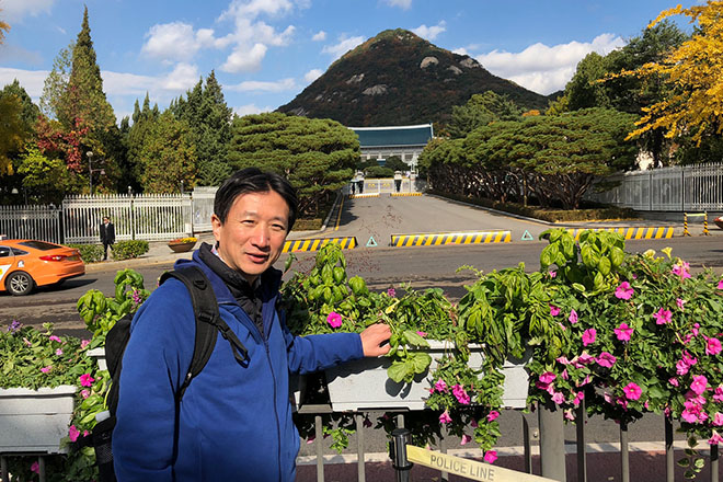 青瓦台