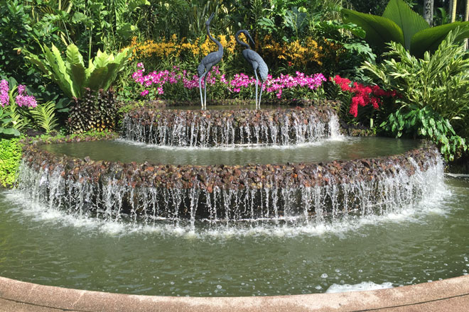 シンガポール植物園 園内にはランをはじめたくさんの植物が