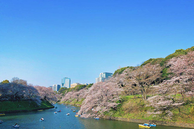 千鳥ヶ淵周辺