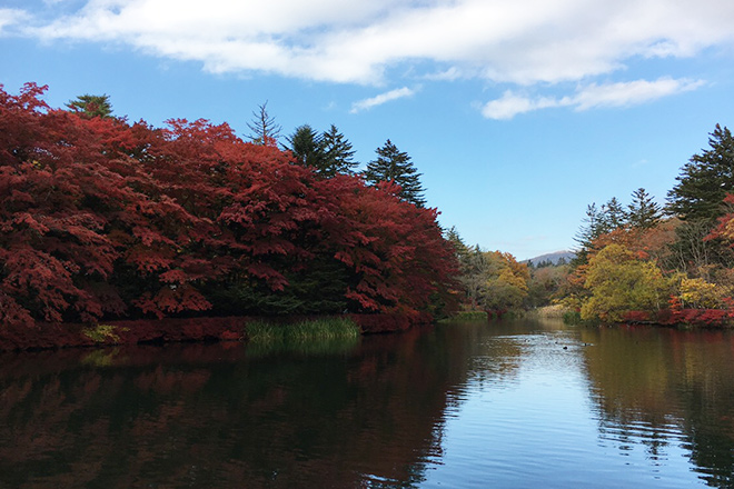 紅葉に惹かれて再度訪れてみた