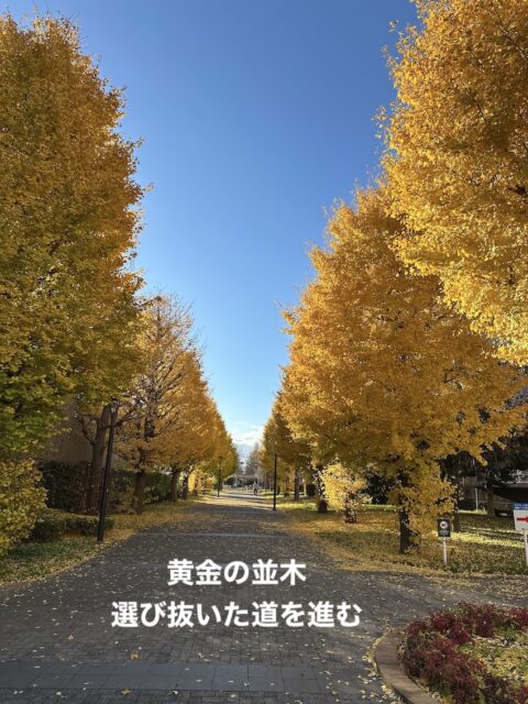選び抜いた道に実りはある─2025年度上期の振り返しと未来戦略