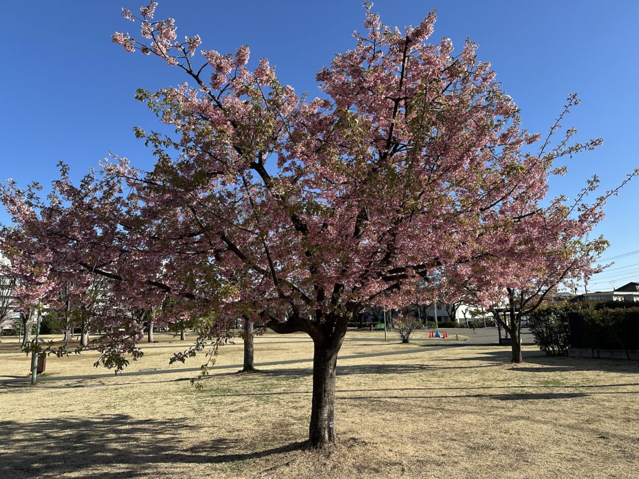 効率の先にある「感性」を、磨き続ける。
